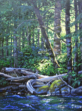 PAST MASTERCLASS -  Create Compelling Light with Gaye Adams - April 12th - 14th 2019