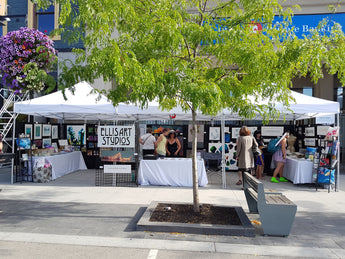 Instant Canopy Pop Up Tent Rental