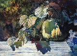 PAST MASTERCLASS -  Fresh and Exciting Watercolours with David R Smith