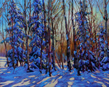 PAST MASTERCLASS -  Mastering Acrylics I & II with David Langevin